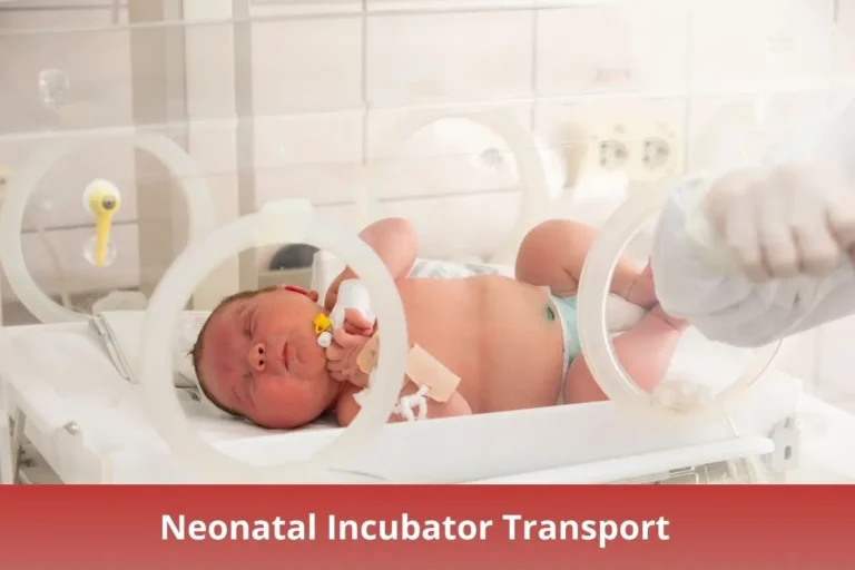 Neonatal Incubator Transport