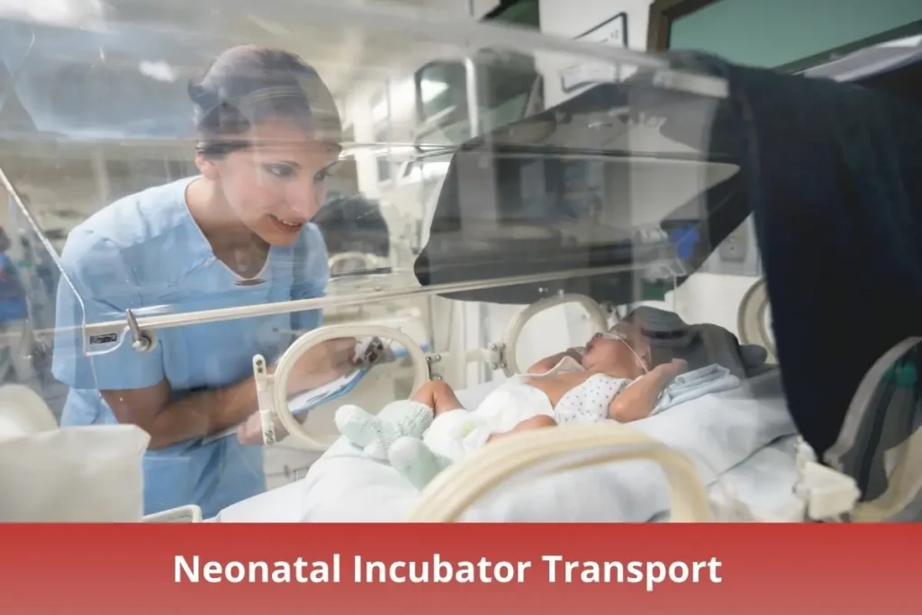 Neonatal Incubator Transport