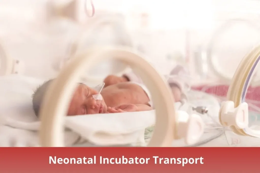 Neonatal Incubator Transport