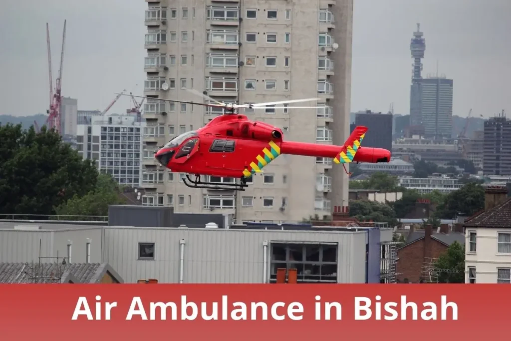 Air Ambulance Companies in Bishah